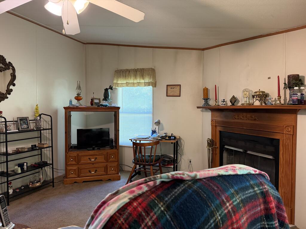 1284 BUD WALT ROAD, HIAWASSEE GA 30546