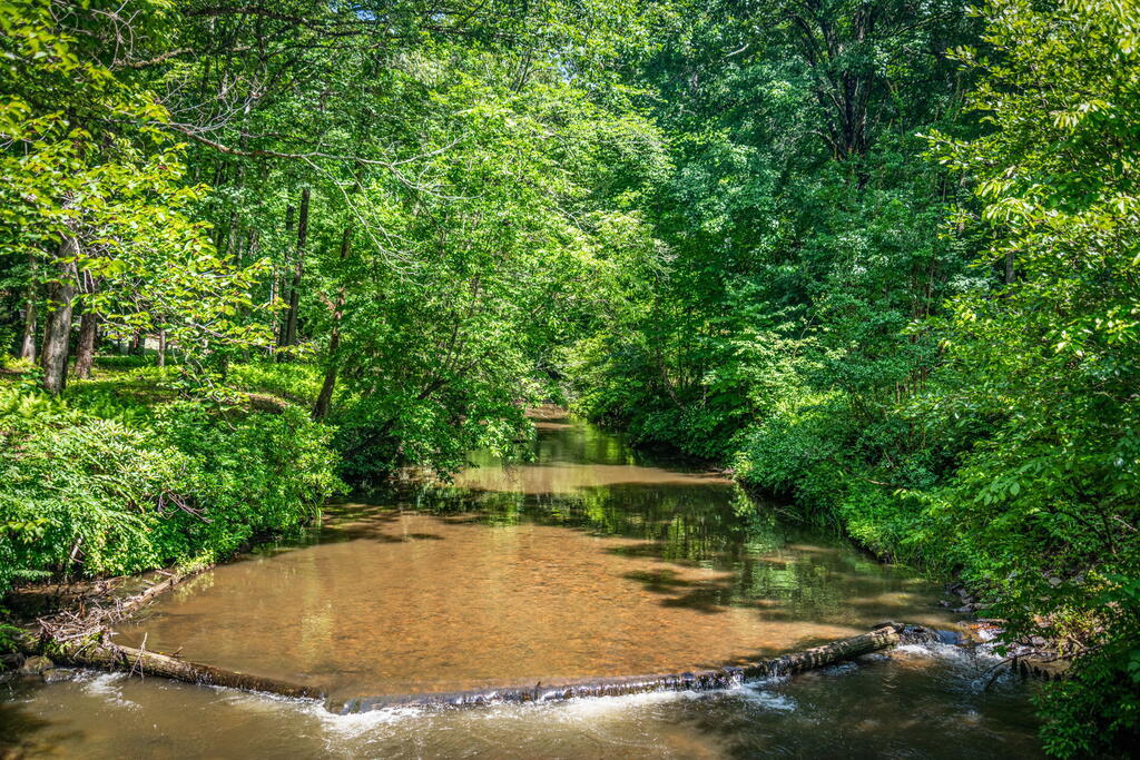 2977 HWY 2, BLUE RIDGE GA 30513