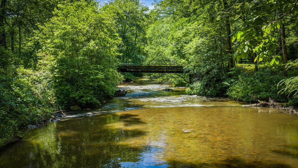 2977 HWY 2, BLUE RIDGE GA 30513