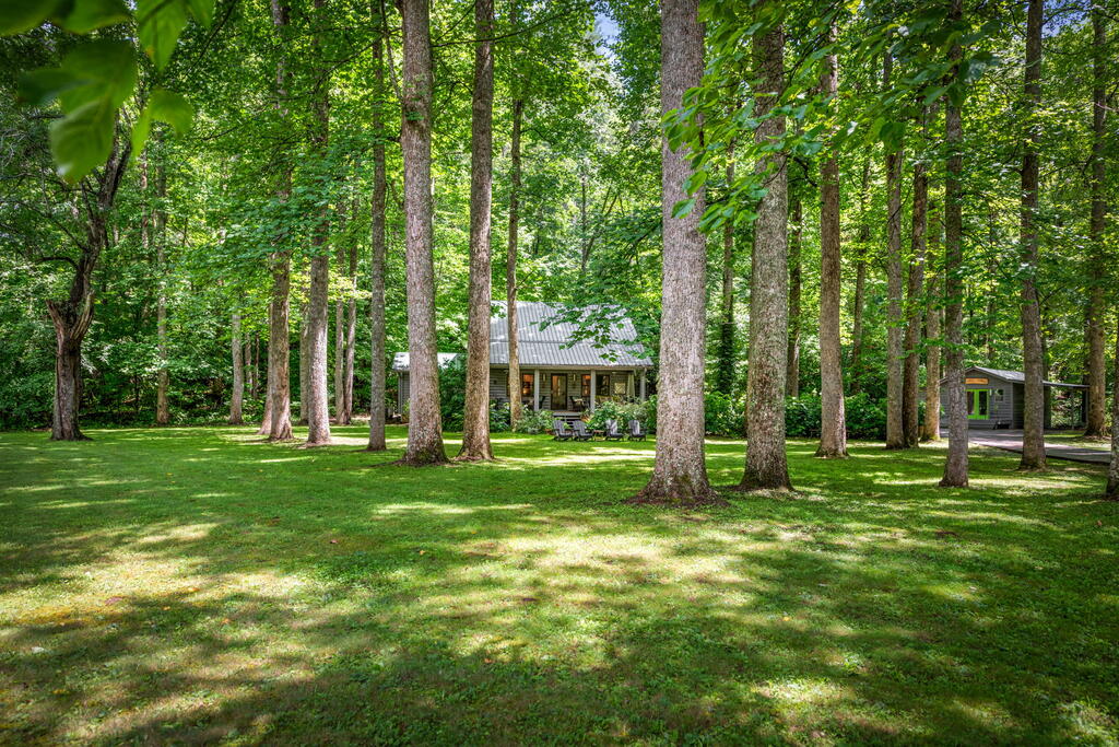 2977 HWY 2, BLUE RIDGE GA 30513