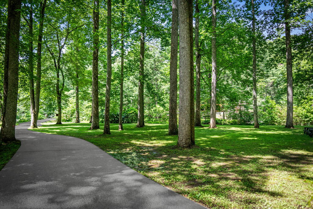 2977 HWY 2, BLUE RIDGE GA 30513