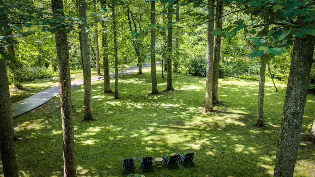 2977 HWY 2, BLUE RIDGE GA 30513
