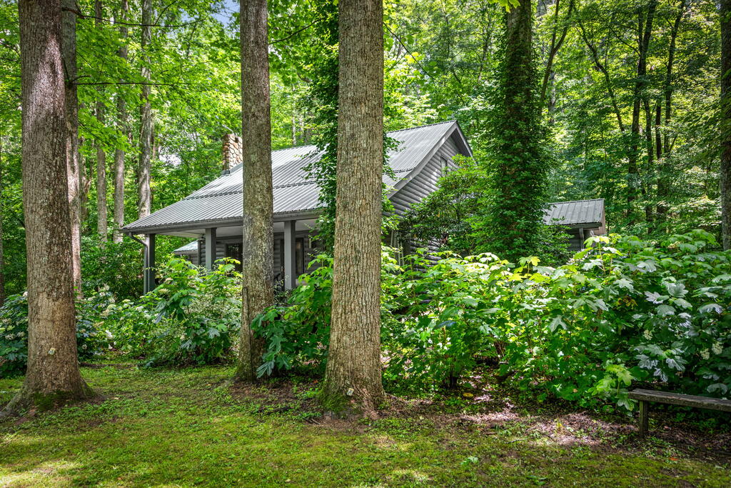 2977 HWY 2, BLUE RIDGE GA 30513