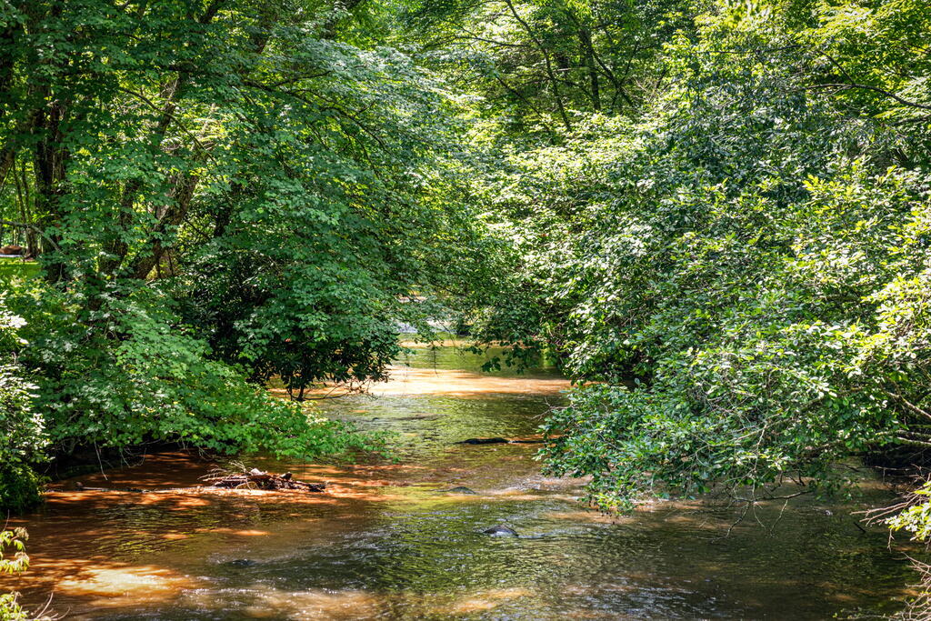 2977 HWY 2, BLUE RIDGE GA 30513