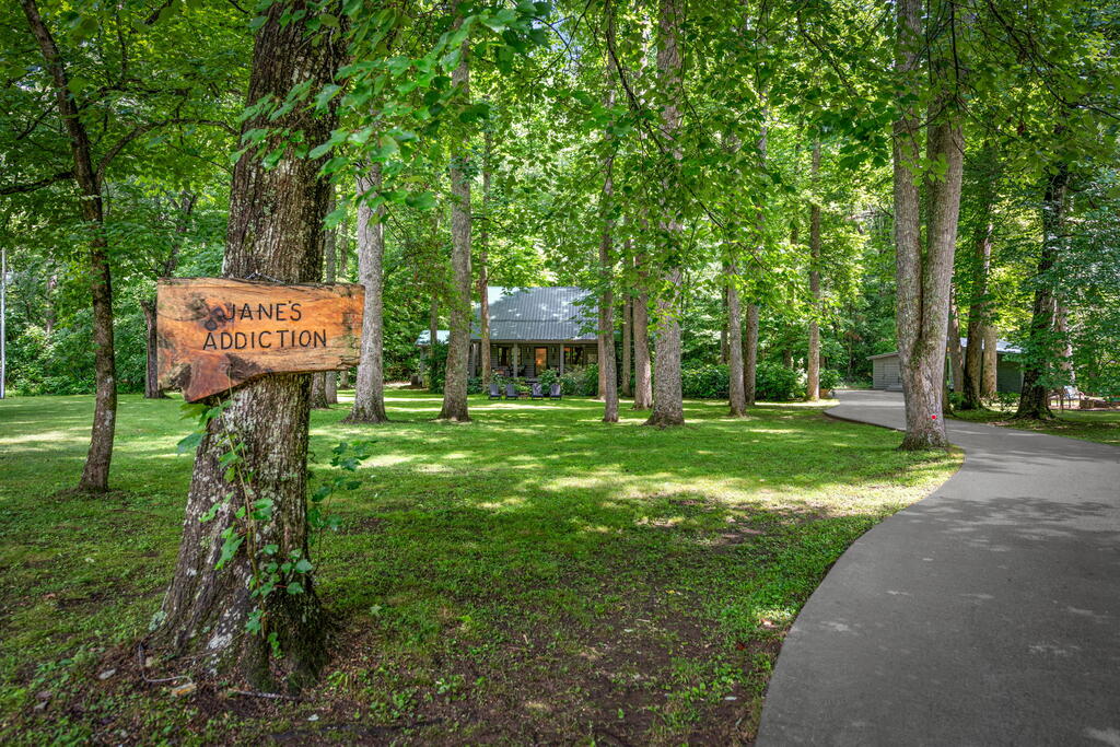 2977 HWY 2, BLUE RIDGE GA 30513