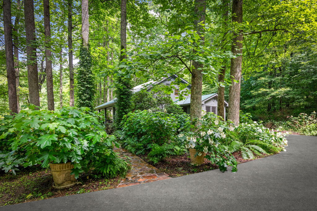2977 HWY 2, BLUE RIDGE GA 30513