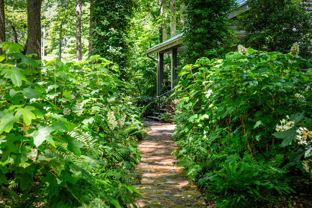 2977 HWY 2, BLUE RIDGE GA 30513