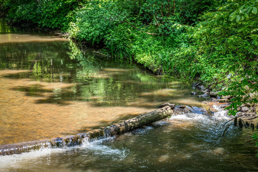 2977 HWY 2, BLUE RIDGE GA 30513