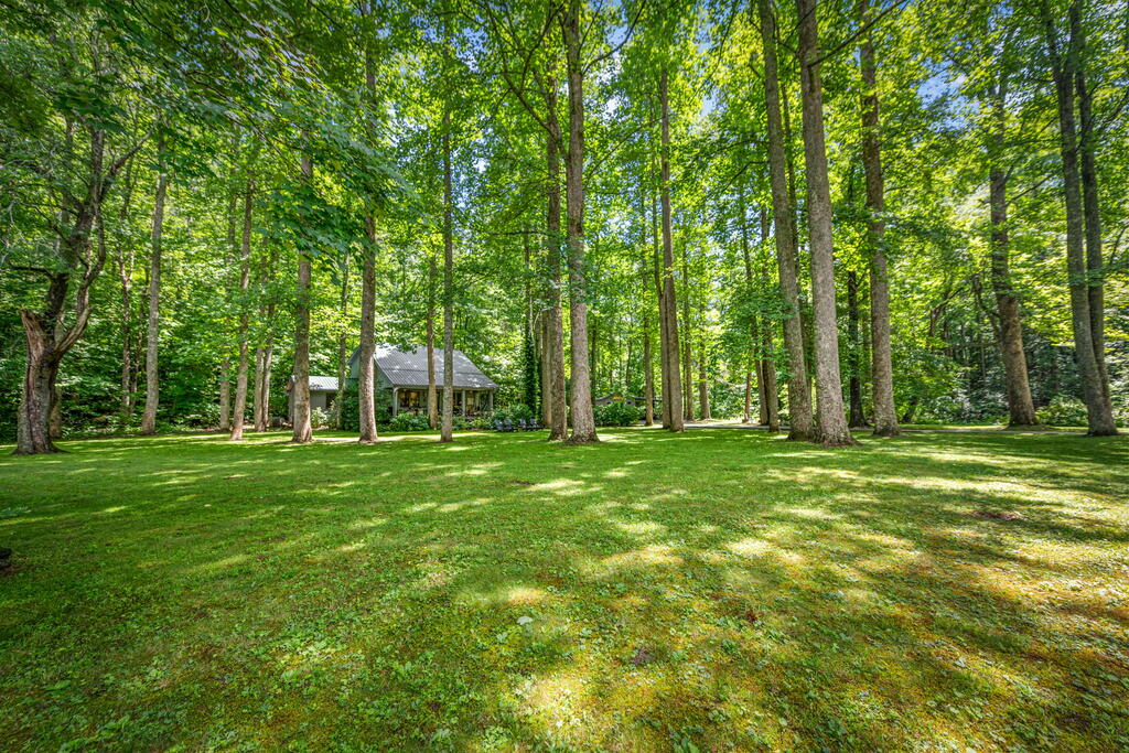 2977 HWY 2, BLUE RIDGE GA 30513