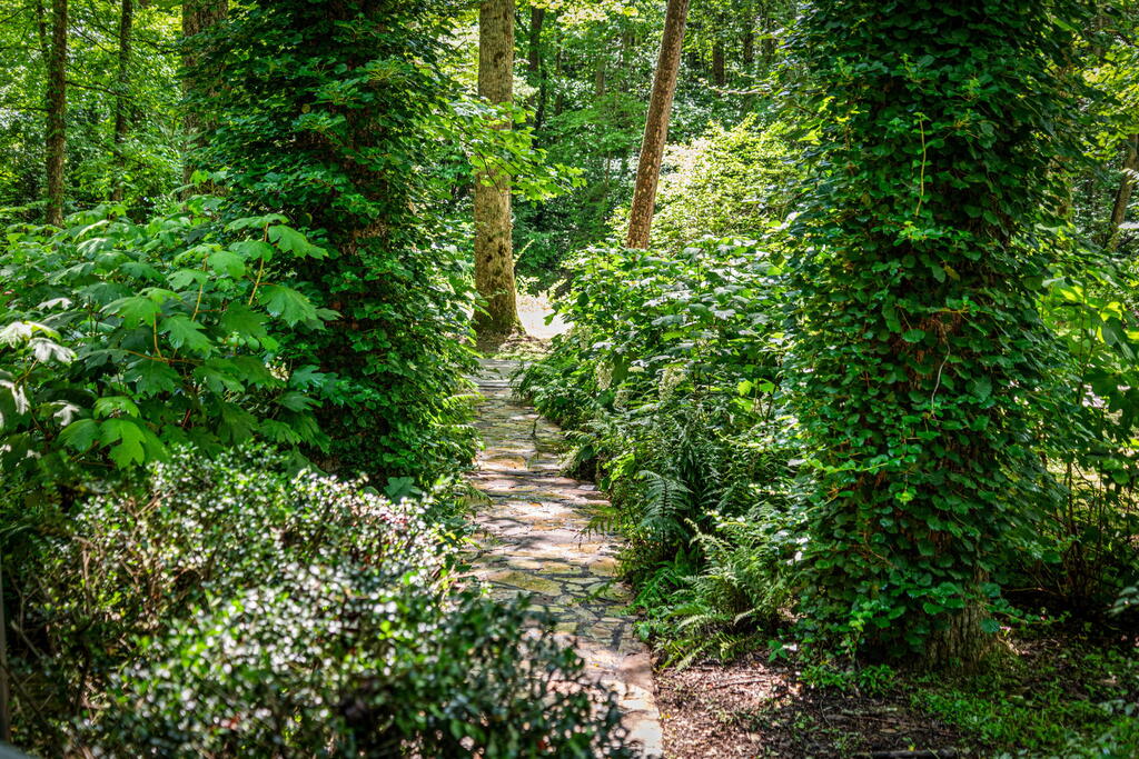 2977 HWY 2, BLUE RIDGE GA 30513