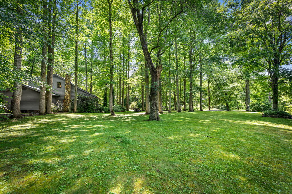 2977 HWY 2, BLUE RIDGE GA 30513