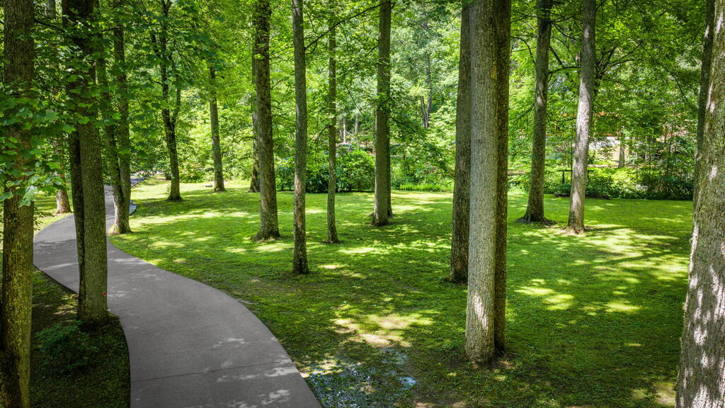 2977 HWY 2, BLUE RIDGE GA 30513