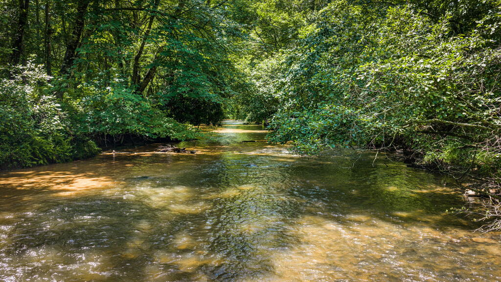 2977 HWY 2, BLUE RIDGE GA 30513