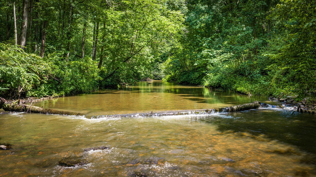 2977 HWY 2, BLUE RIDGE GA 30513
