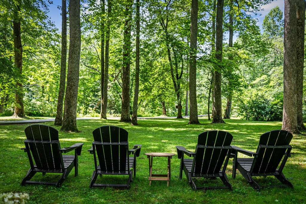 2977 HWY 2, BLUE RIDGE GA 30513