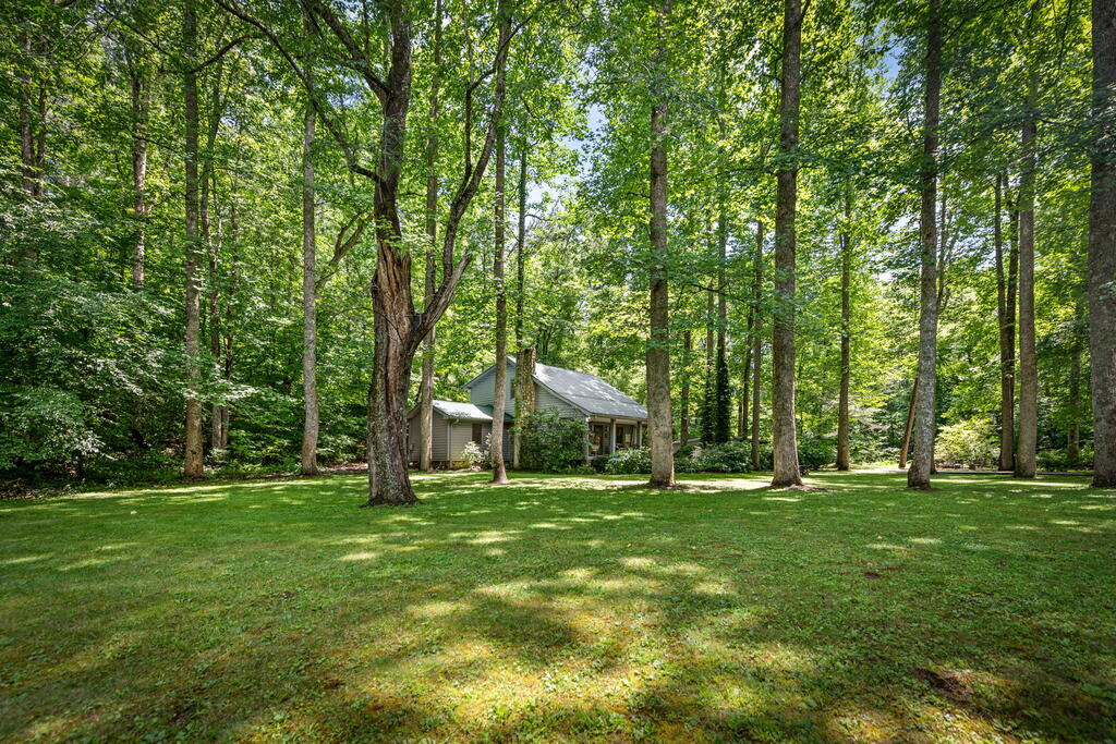 2977 HWY 2, BLUE RIDGE GA 30513
