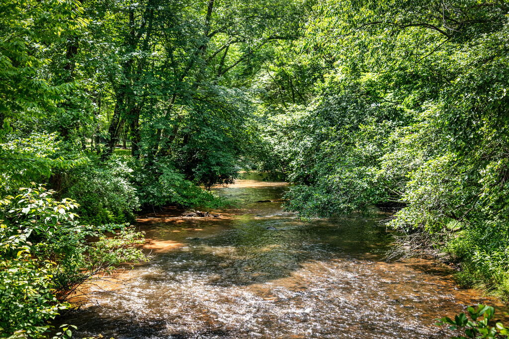 2977 HWY 2, BLUE RIDGE GA 30513