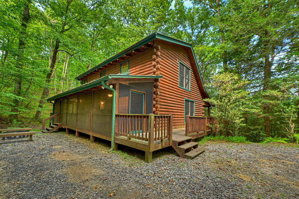 381 ICY LANE, BLUE RIDGE GA 30513