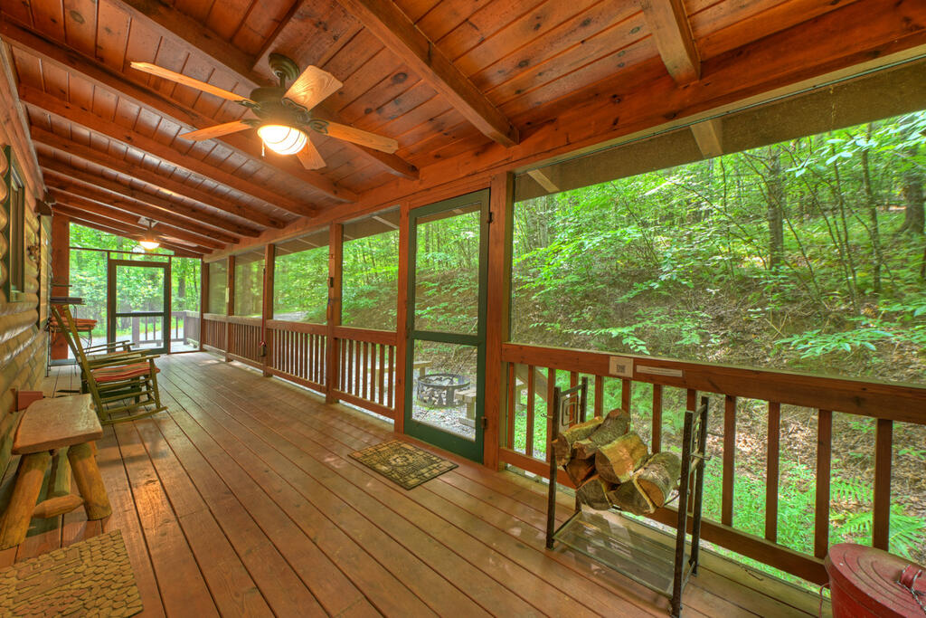 381 ICY LANE, BLUE RIDGE GA 30513