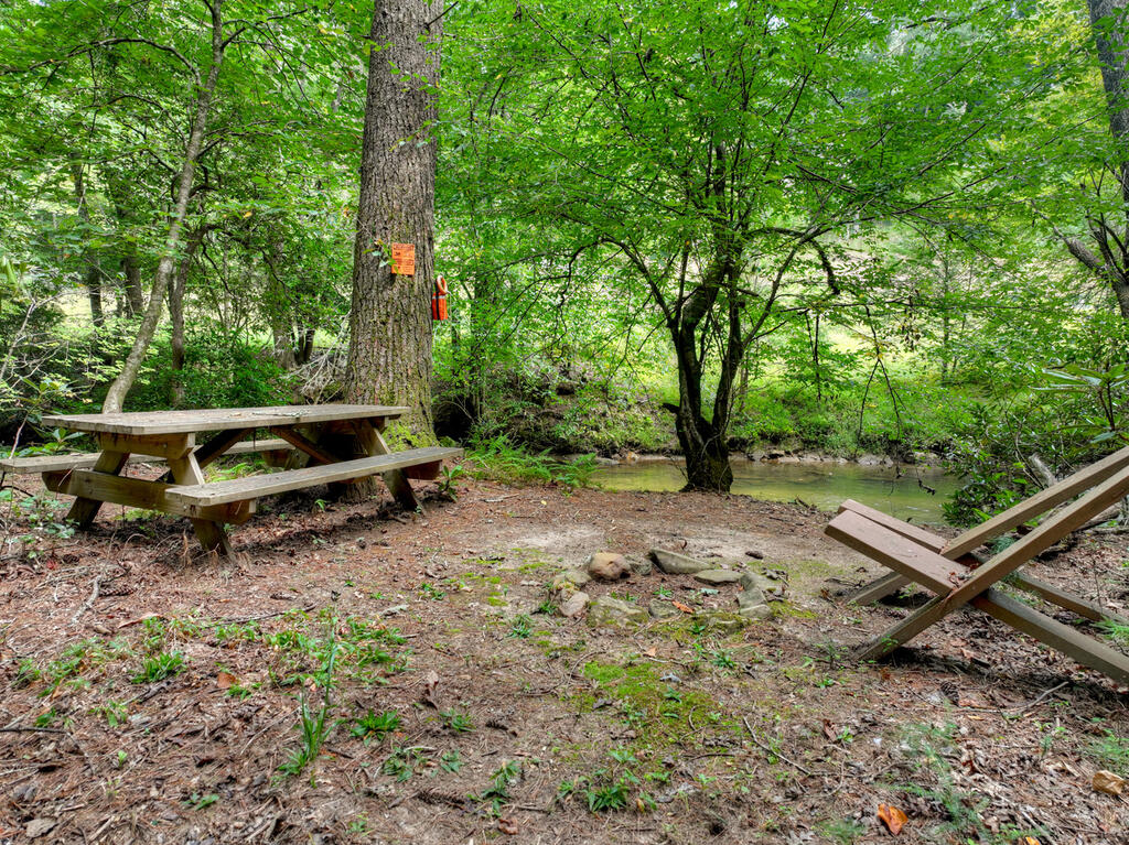 381 ICY LANE, BLUE RIDGE GA 30513