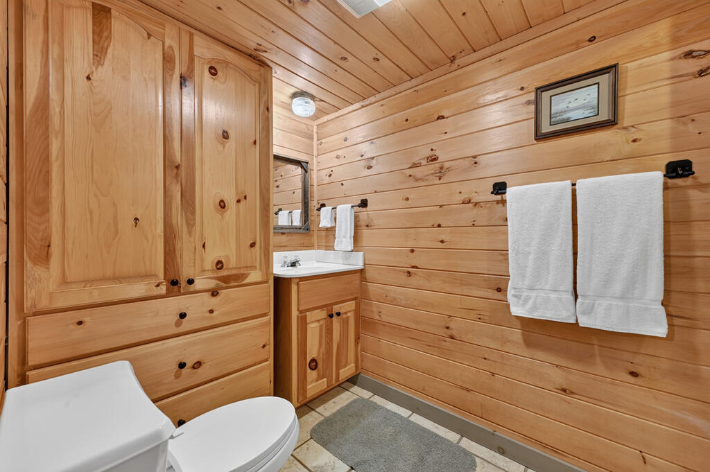 381 ICY LANE, BLUE RIDGE GA 30513