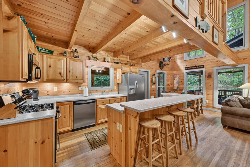 381 ICY LANE, BLUE RIDGE GA 30513
