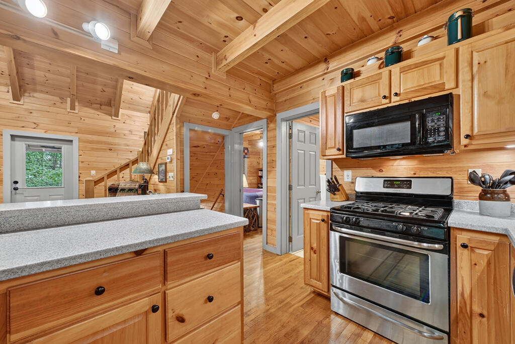 381 ICY LANE, BLUE RIDGE GA 30513