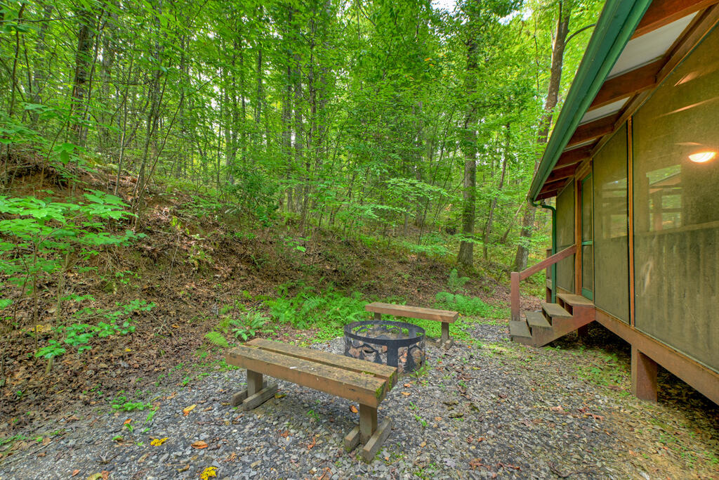 381 ICY LANE, BLUE RIDGE GA 30513
