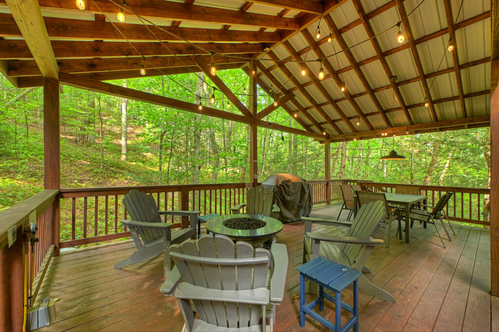 381 ICY LANE, BLUE RIDGE GA 30513