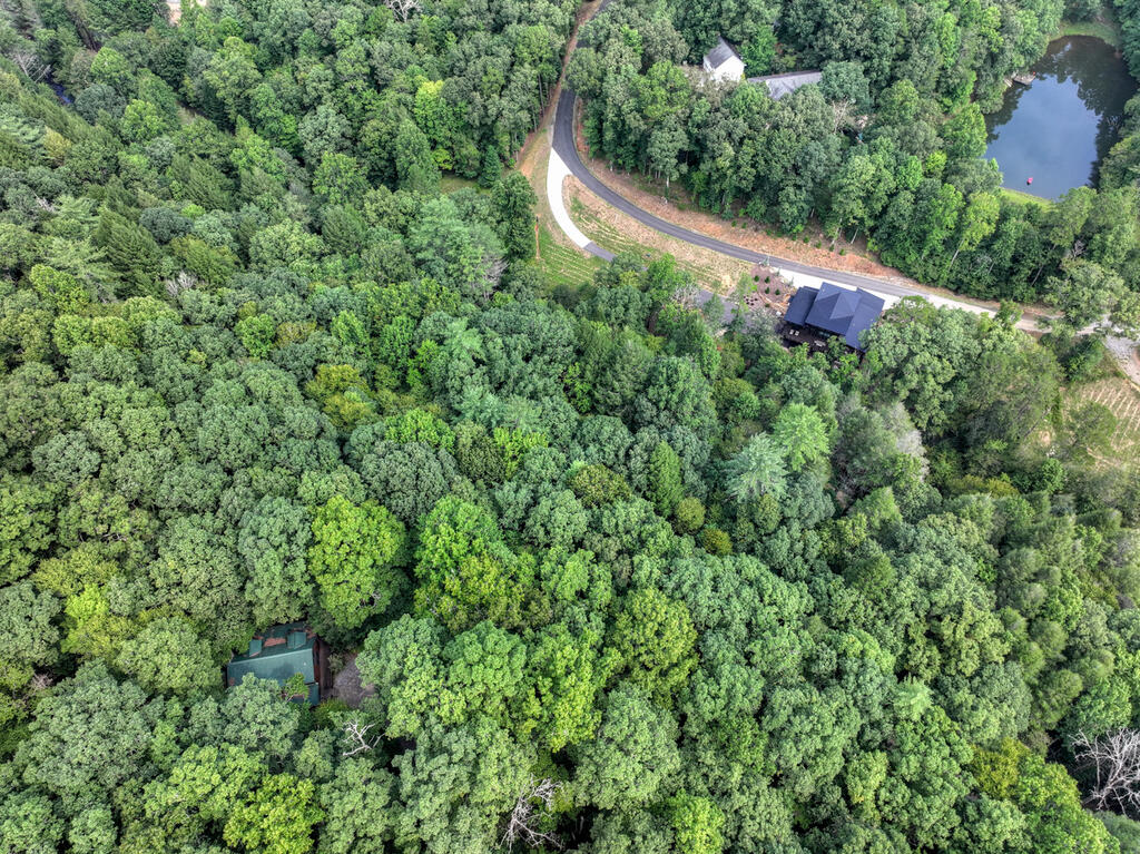 381 ICY LANE, BLUE RIDGE GA 30513