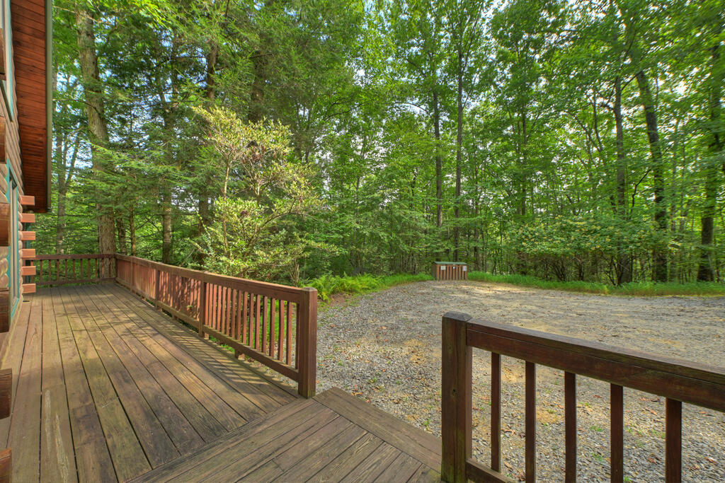 381 ICY LANE, BLUE RIDGE GA 30513