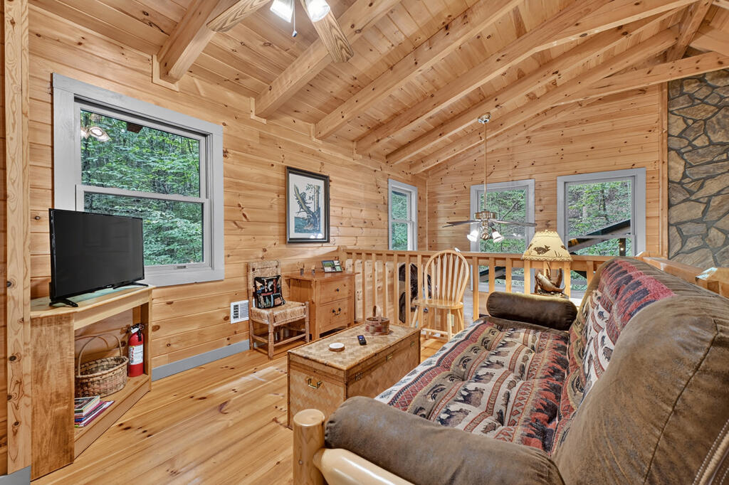 381 ICY LANE, BLUE RIDGE GA 30513