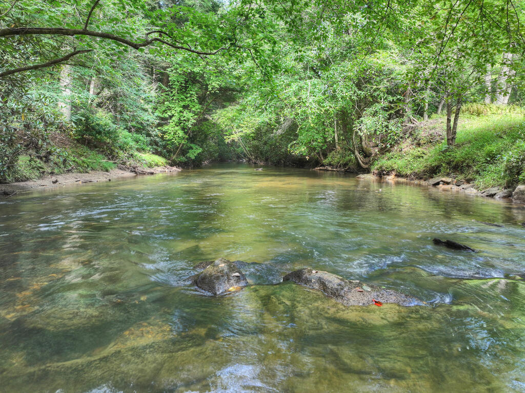 381 ICY LANE, BLUE RIDGE GA 30513