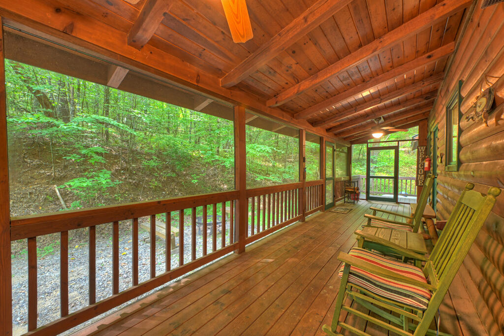 381 ICY LANE, BLUE RIDGE GA 30513