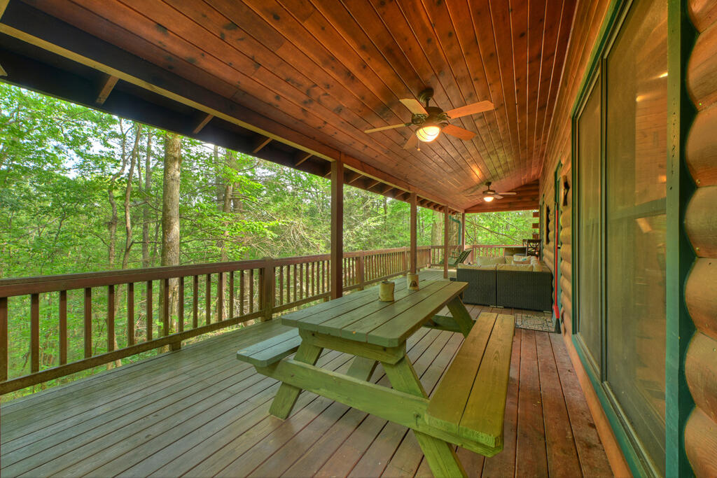 381 ICY LANE, BLUE RIDGE GA 30513