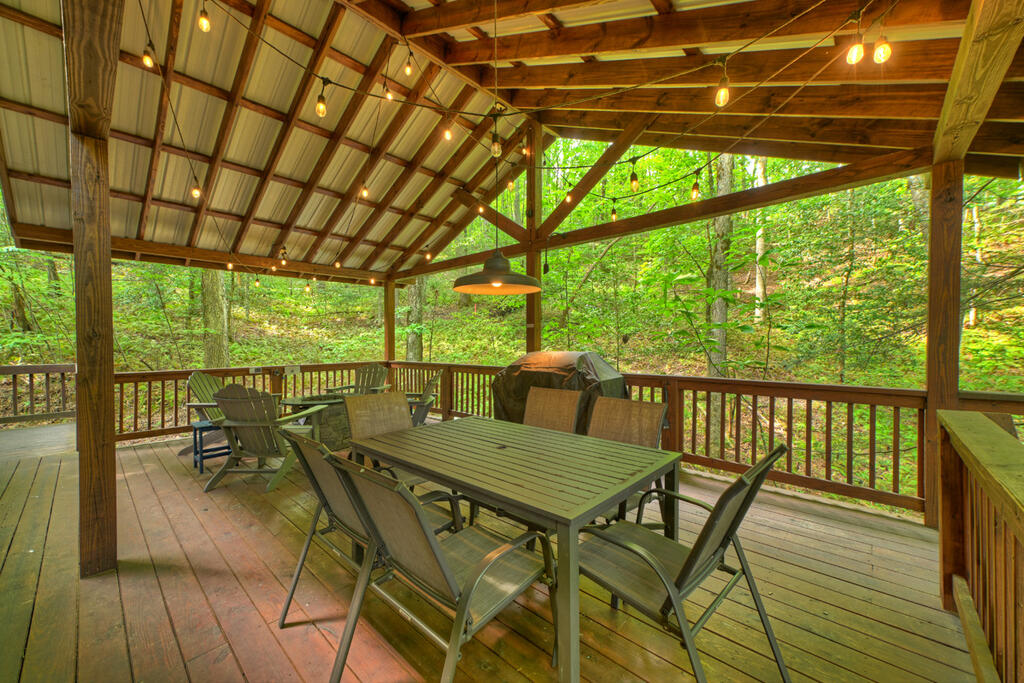 381 ICY LANE, BLUE RIDGE GA 30513