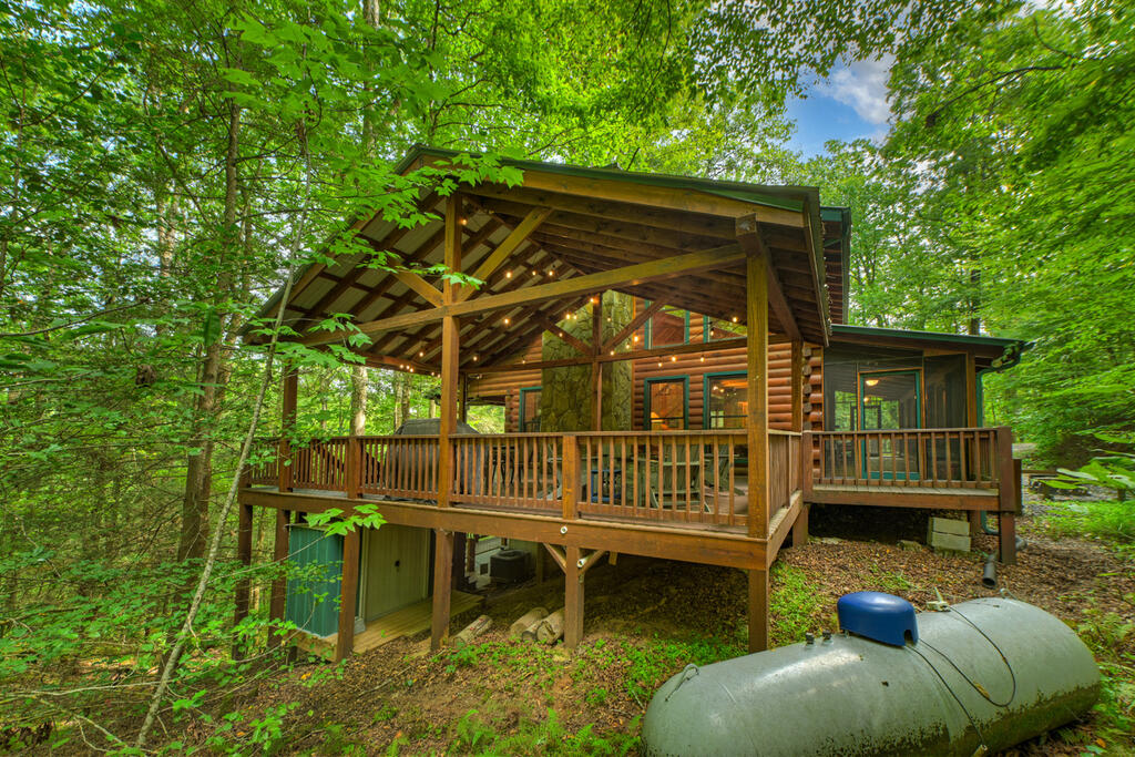 381 ICY LANE, BLUE RIDGE GA 30513