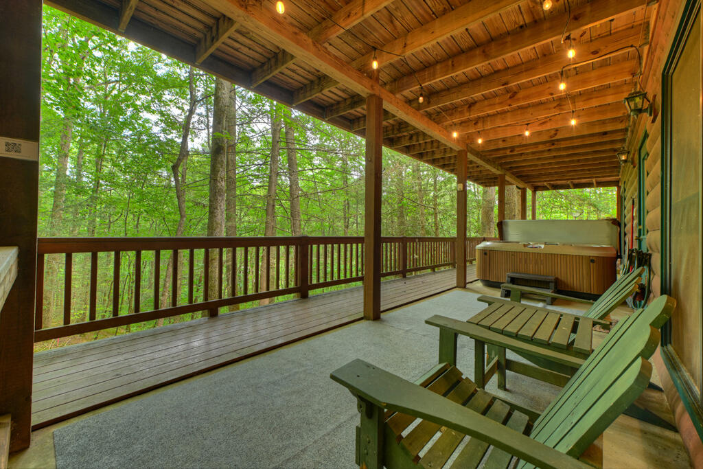 381 ICY LANE, BLUE RIDGE GA 30513