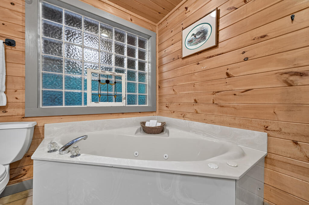381 ICY LANE, BLUE RIDGE GA 30513