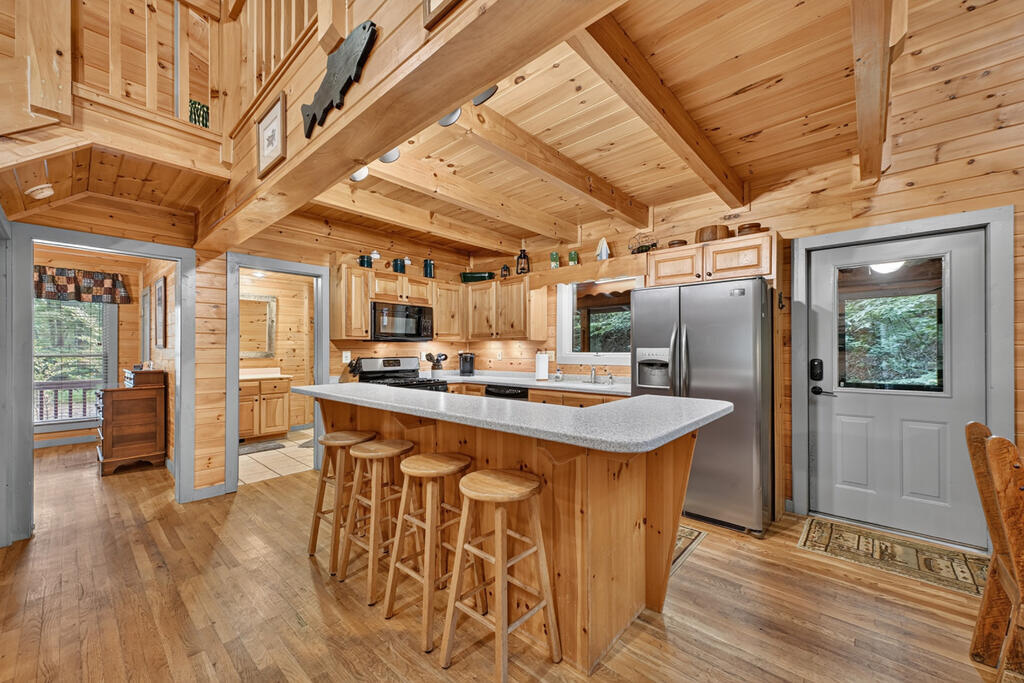 381 ICY LANE, BLUE RIDGE GA 30513