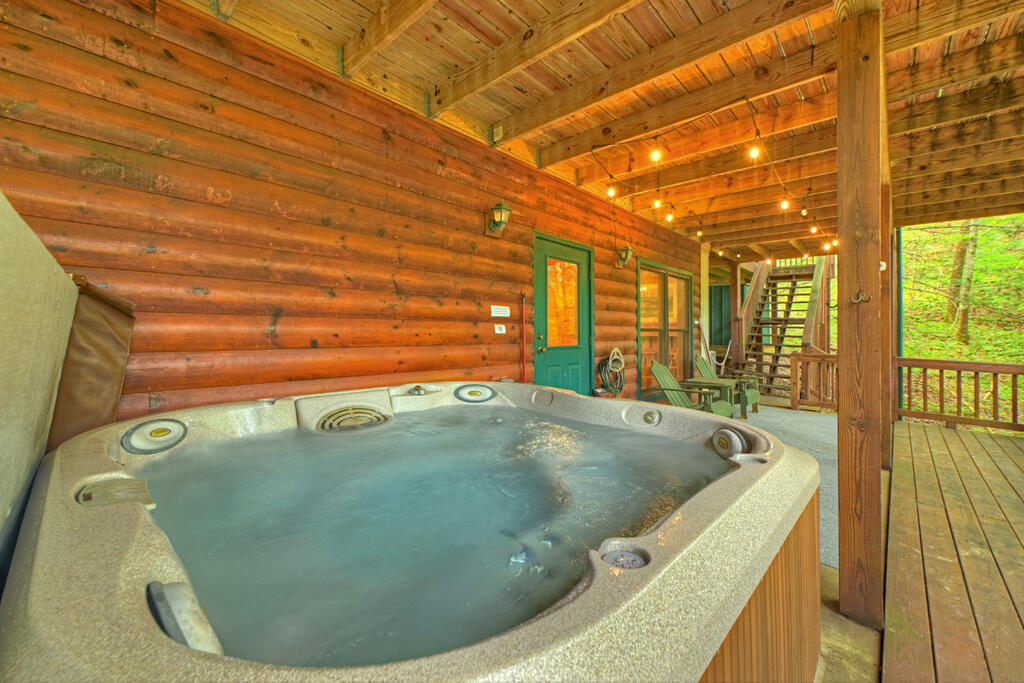 381 ICY LANE, BLUE RIDGE GA 30513
