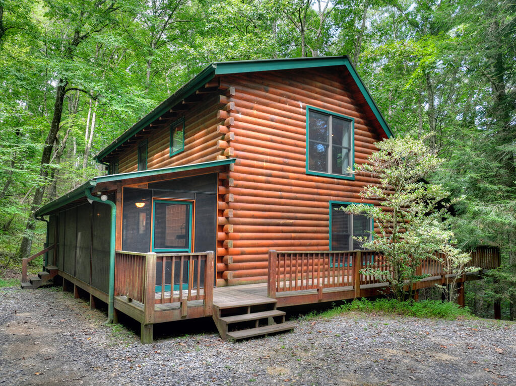 381 ICY LANE, BLUE RIDGE GA 30513