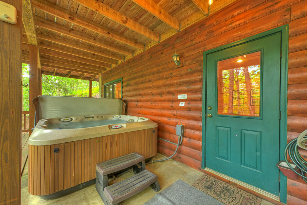 381 ICY LANE, BLUE RIDGE GA 30513