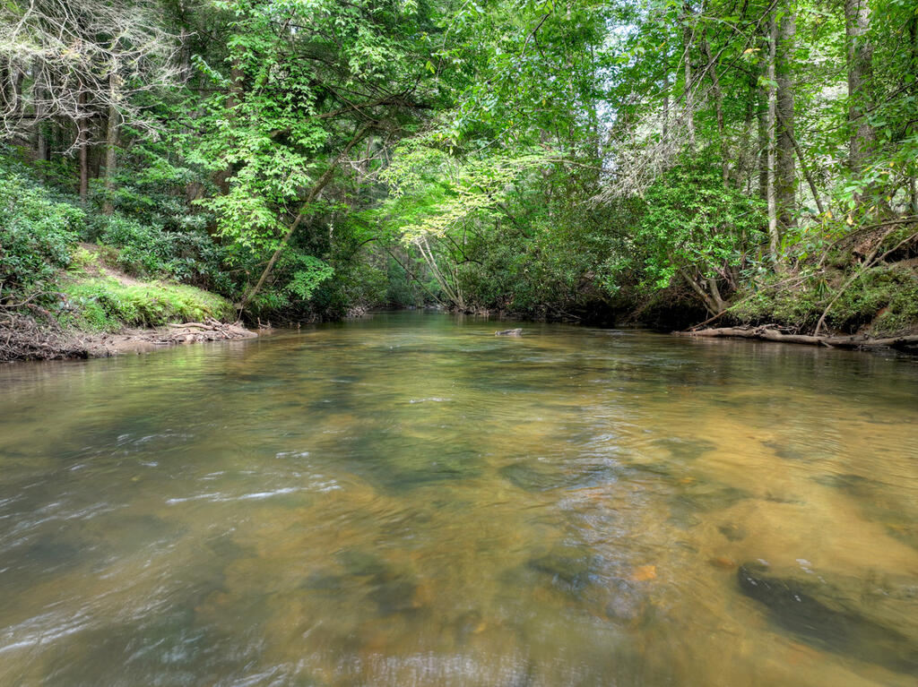 381 ICY LANE, BLUE RIDGE GA 30513