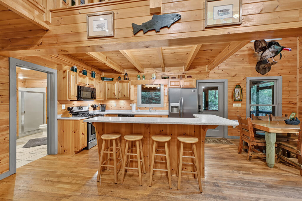 381 ICY LANE, BLUE RIDGE GA 30513