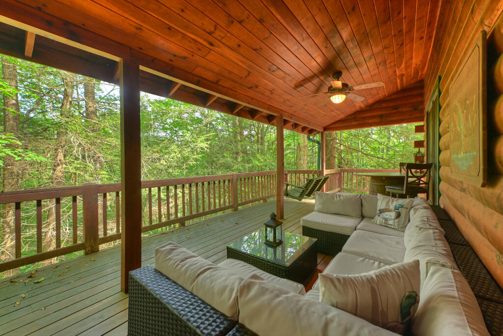 381 ICY LANE, BLUE RIDGE GA 30513