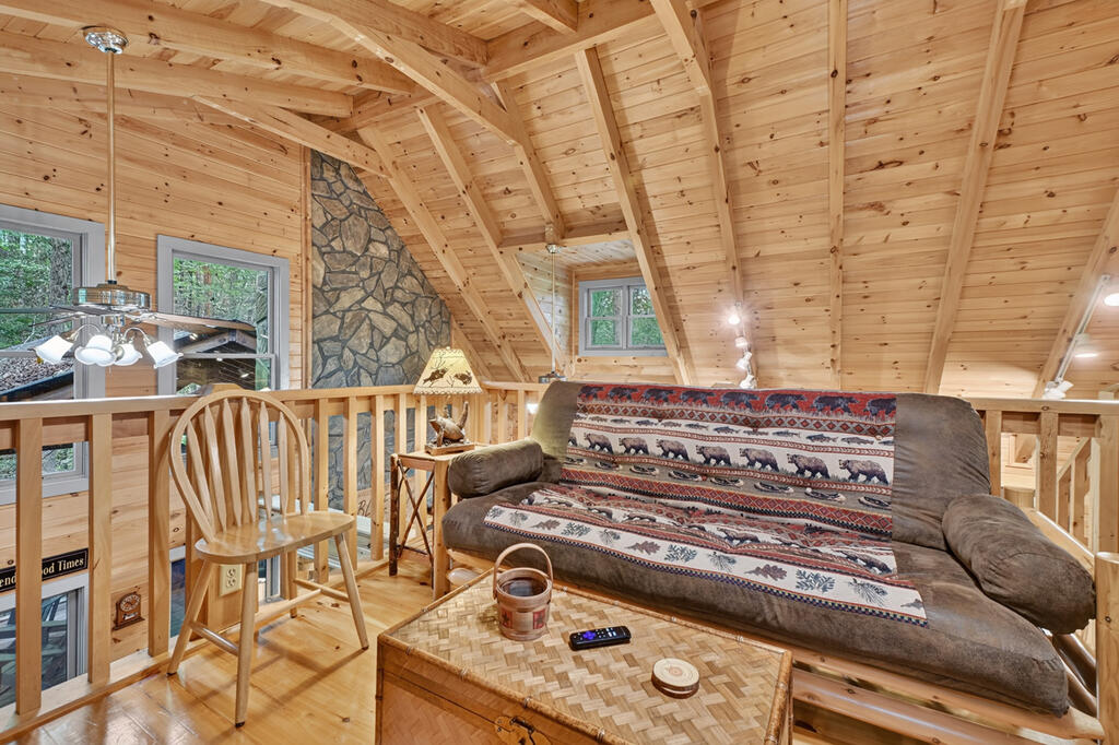 381 ICY LANE, BLUE RIDGE GA 30513