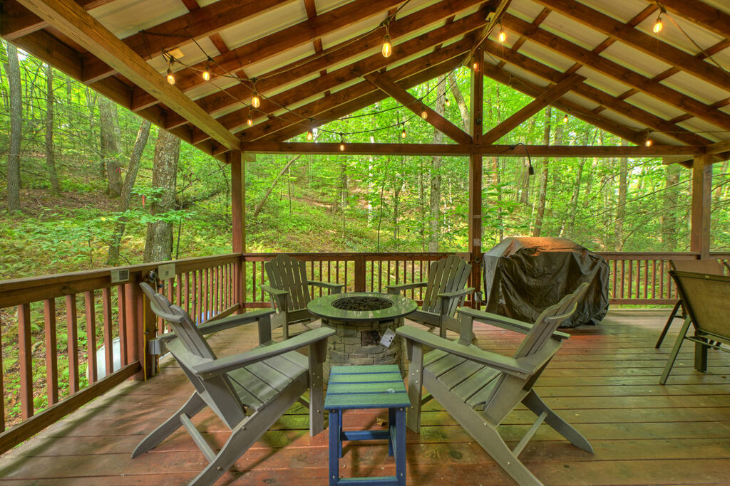 381 ICY LANE, BLUE RIDGE GA 30513