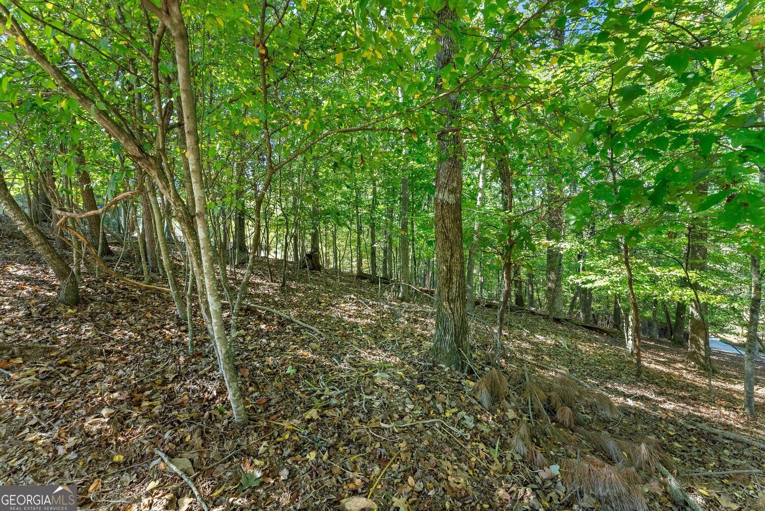 Photo 3 of Land for sale at 4070 Summerhill Dr, Gainesville, GA 30506 | MLS# 10869703 | Listing updated on 2026-10-08