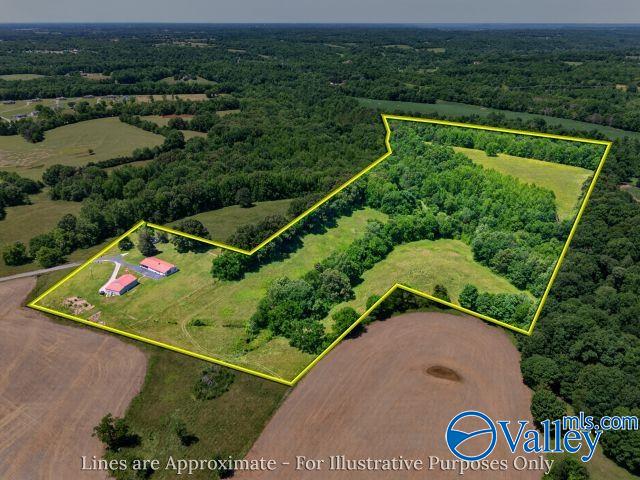 37 Old Mclemore Road, Taft TN 38488